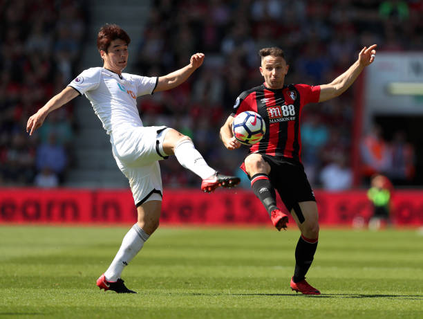 也是孕育飞 也是孕育飞